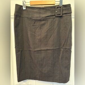 Dalia Elegant Grey Skirt with Belt Detail